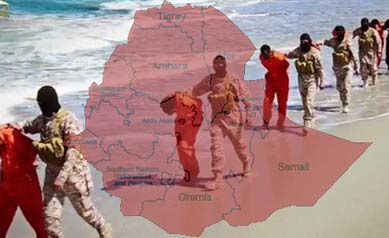 IS Entices AlShabab To Pledge Allegiance