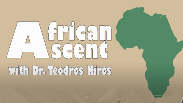 A Conversation between Two Professors: A Tigrayan and An Eritrean