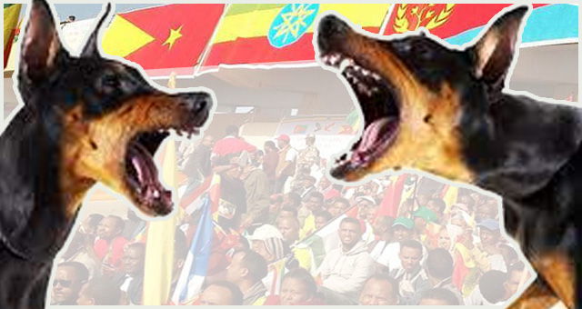 The Curse of Perpetual Civil Wars