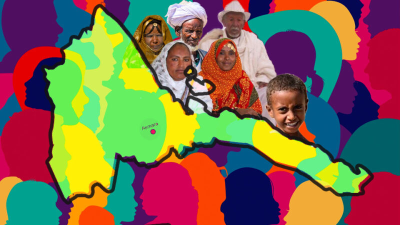 Critical Thinking and Critical Dialogue in A Plural Society like Eritrea