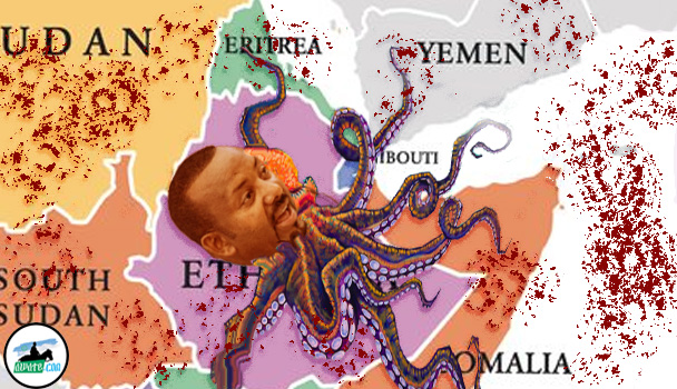 The Horn of Africa States Ethiopia’s  Undiplomatic Faux Pas