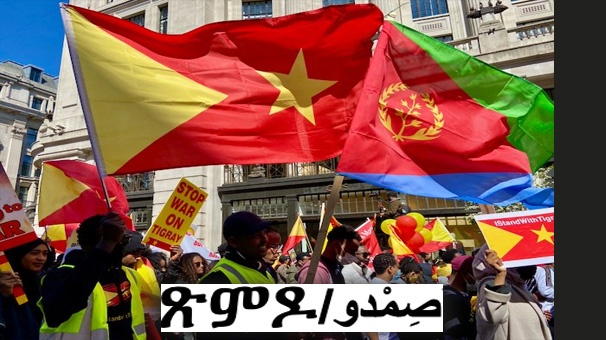 صِمْدو : مقاربة جديدة للسلام، أم مناورة سياسية ؟