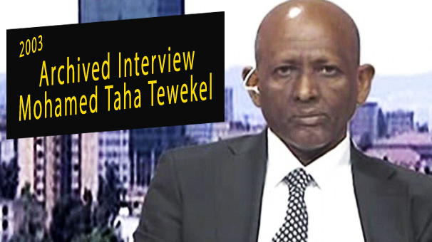 Archived Interview With Mohamed Taha Tewekel